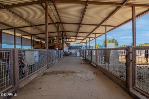 A home in San Tan Valley