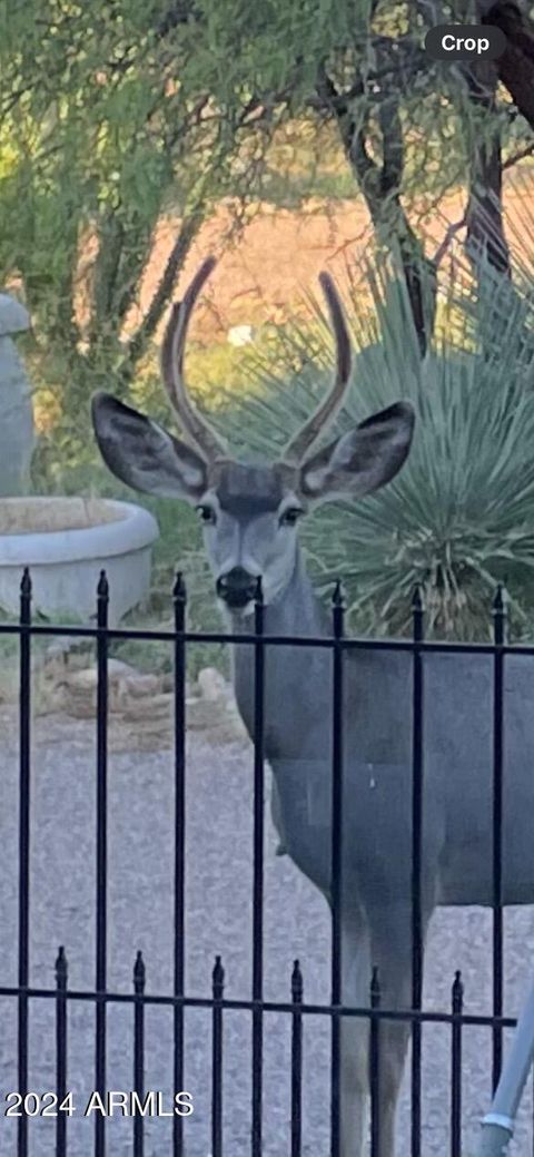 A home in Cochise