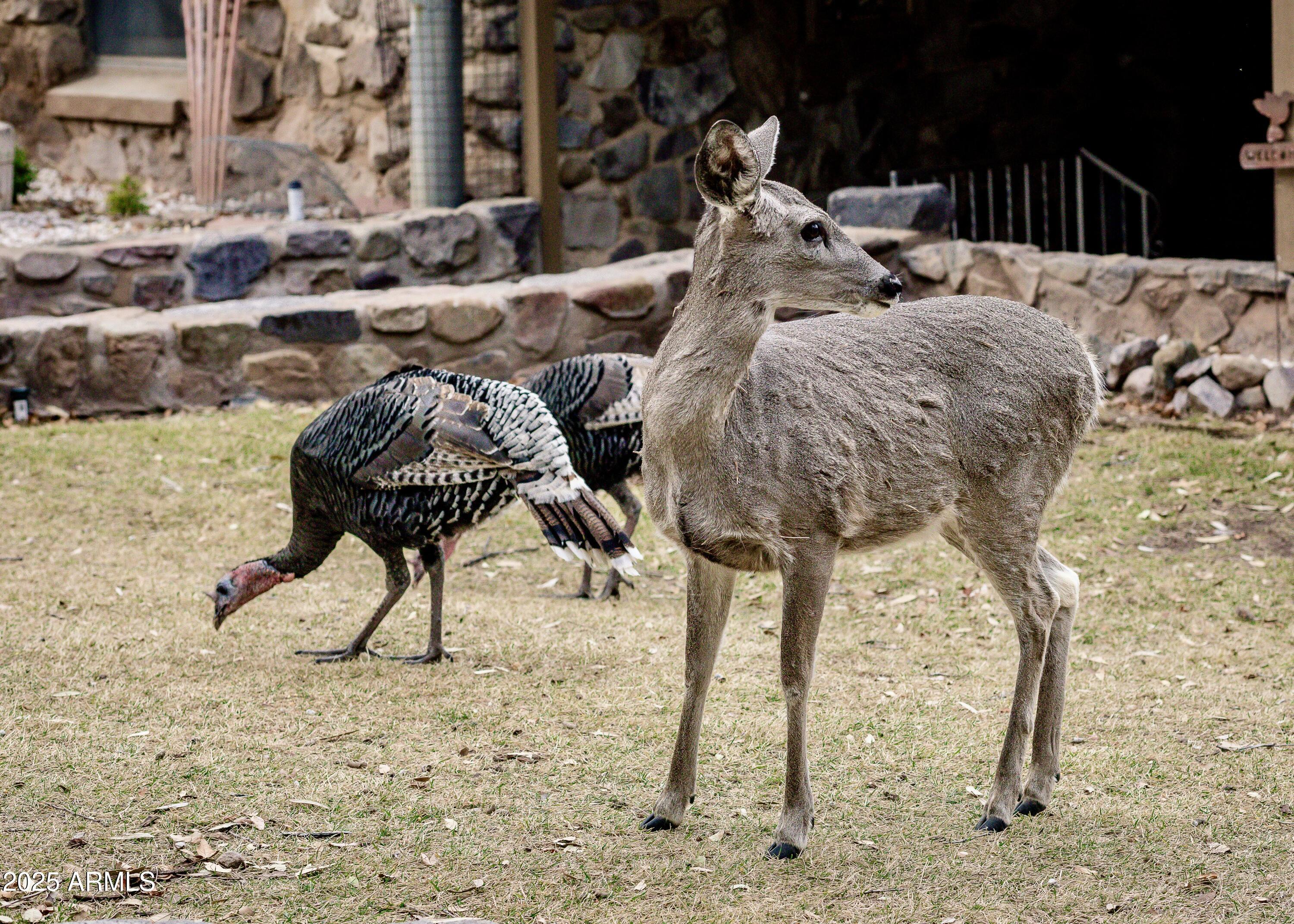 29 E RAMSEY CANYON Road