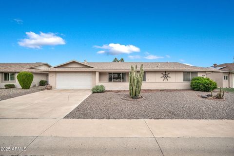 9718 W TERRACE Lane Sun City AZ 85373