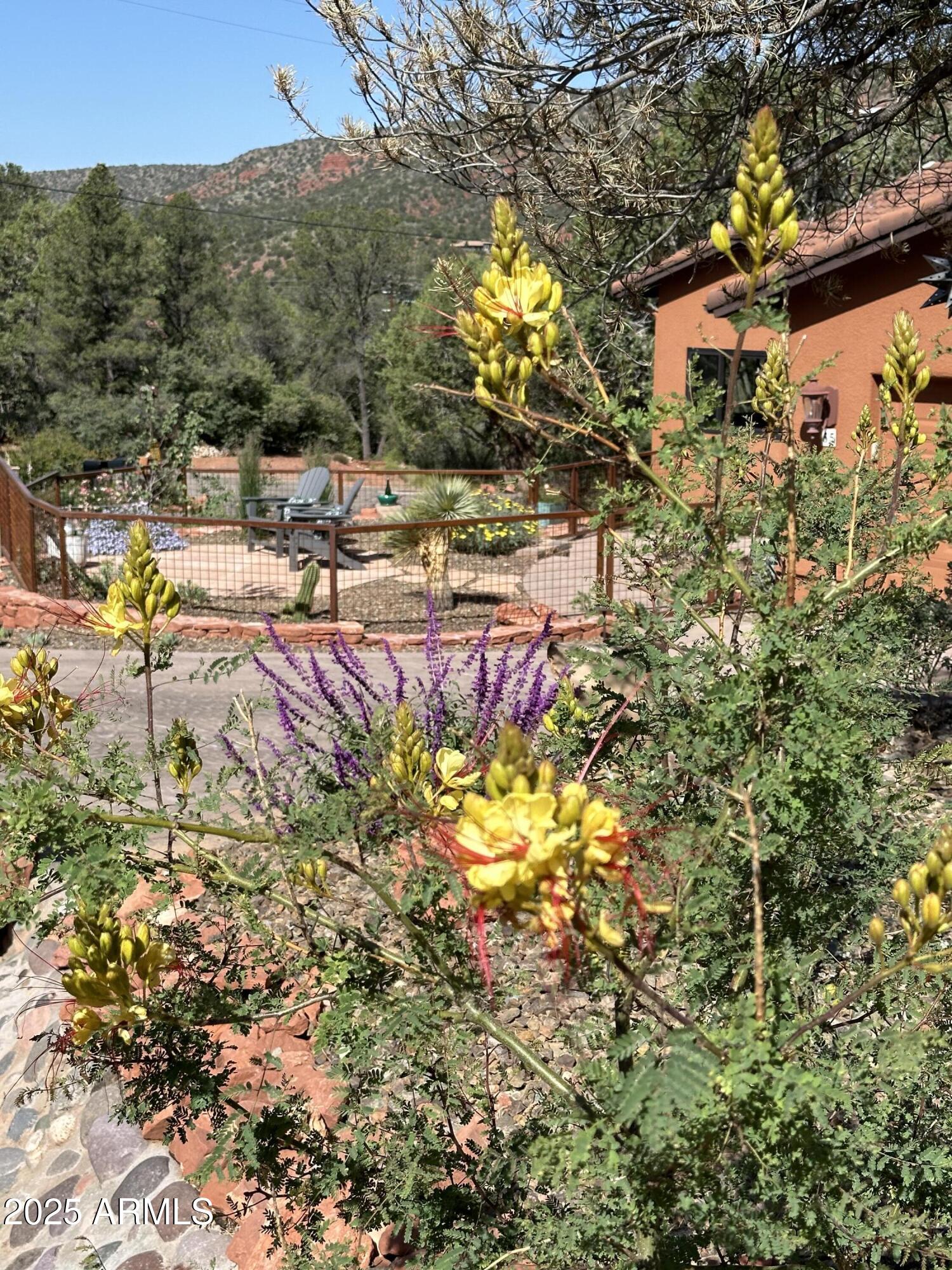 55 CACTUS Drive