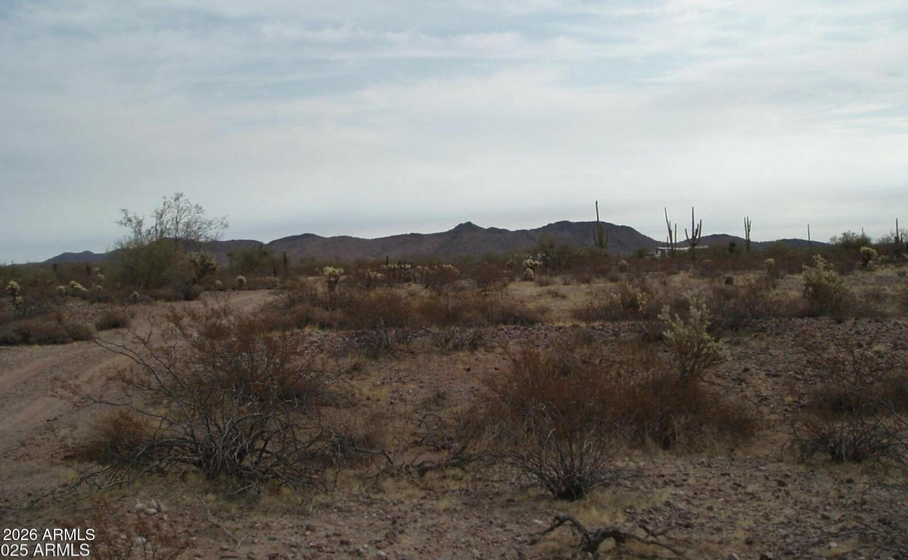 307000 N 315th Avenue 162 3