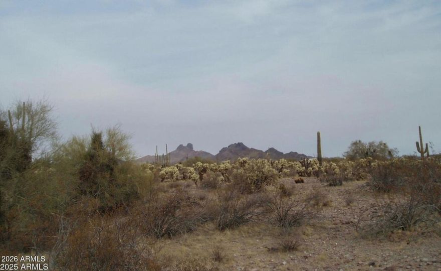 Well priced 5-acre parcel in the heart of Whispering Ranch with no flood impact. Enjoy the mountain views, clean air, dark skies at night and the peace and quiet of this remote pristine desert subdivision. Planned subdivisions to the south, roadways through the area, a huge aquifer underground and affordable pricing (for now) make this area attractive as an investment in the future as the area continues to grow. Get you piece of land now as prices are rising and this one won't last long.