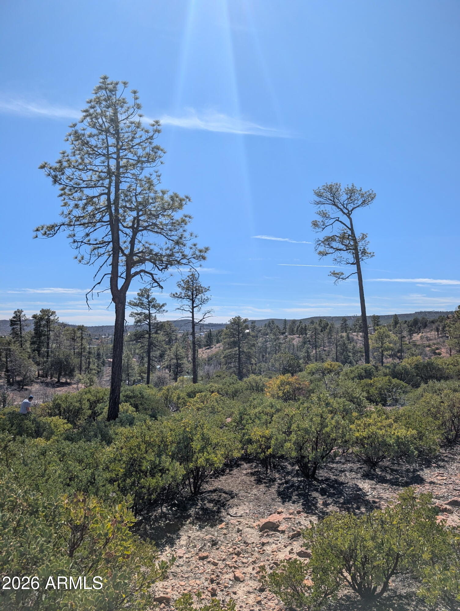 TIMBERLAND ACRES - Land