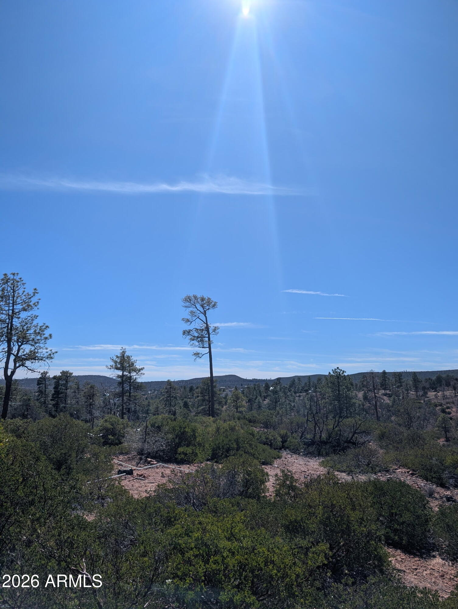 TIMBERLAND ACRES - Land