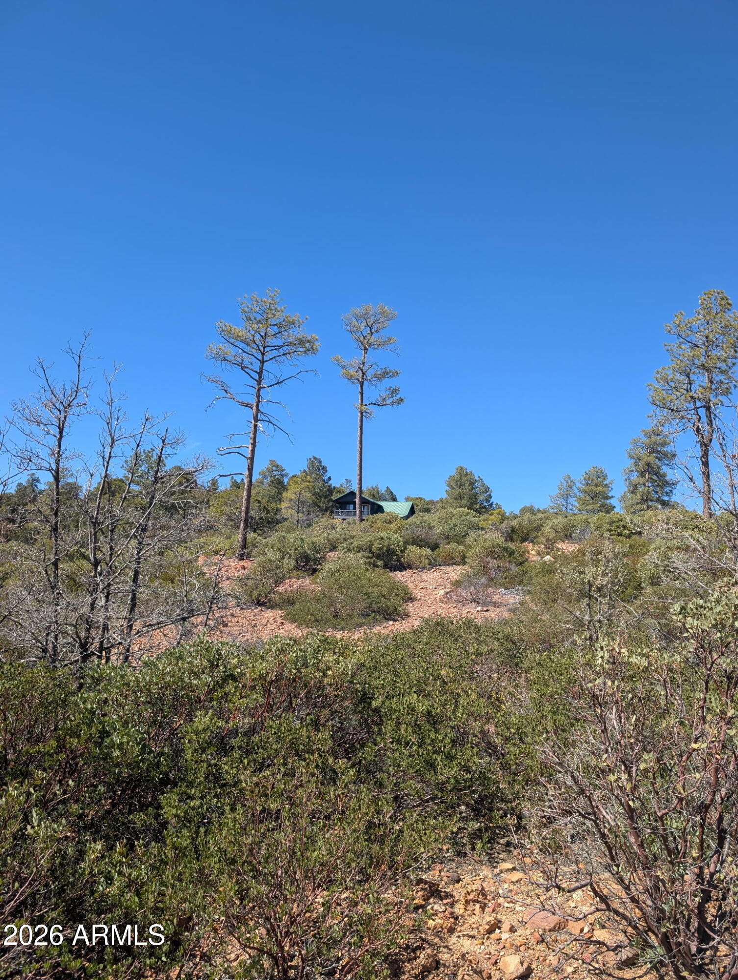 TIMBERLAND ACRES - Land