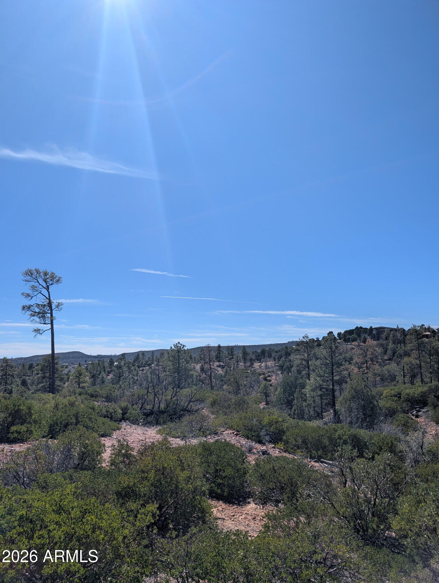 TIMBERLAND ACRES - Land