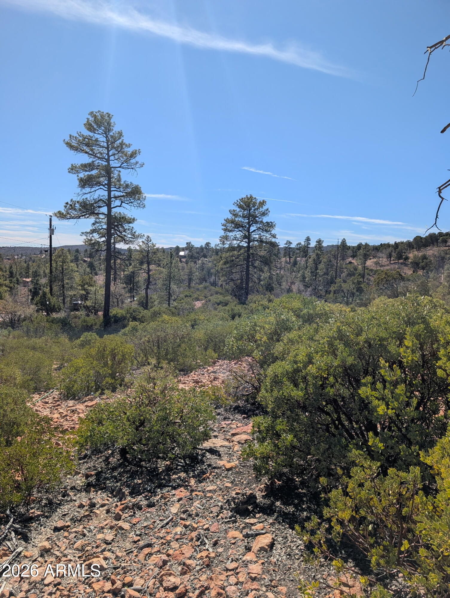 TIMBERLAND ACRES - Land