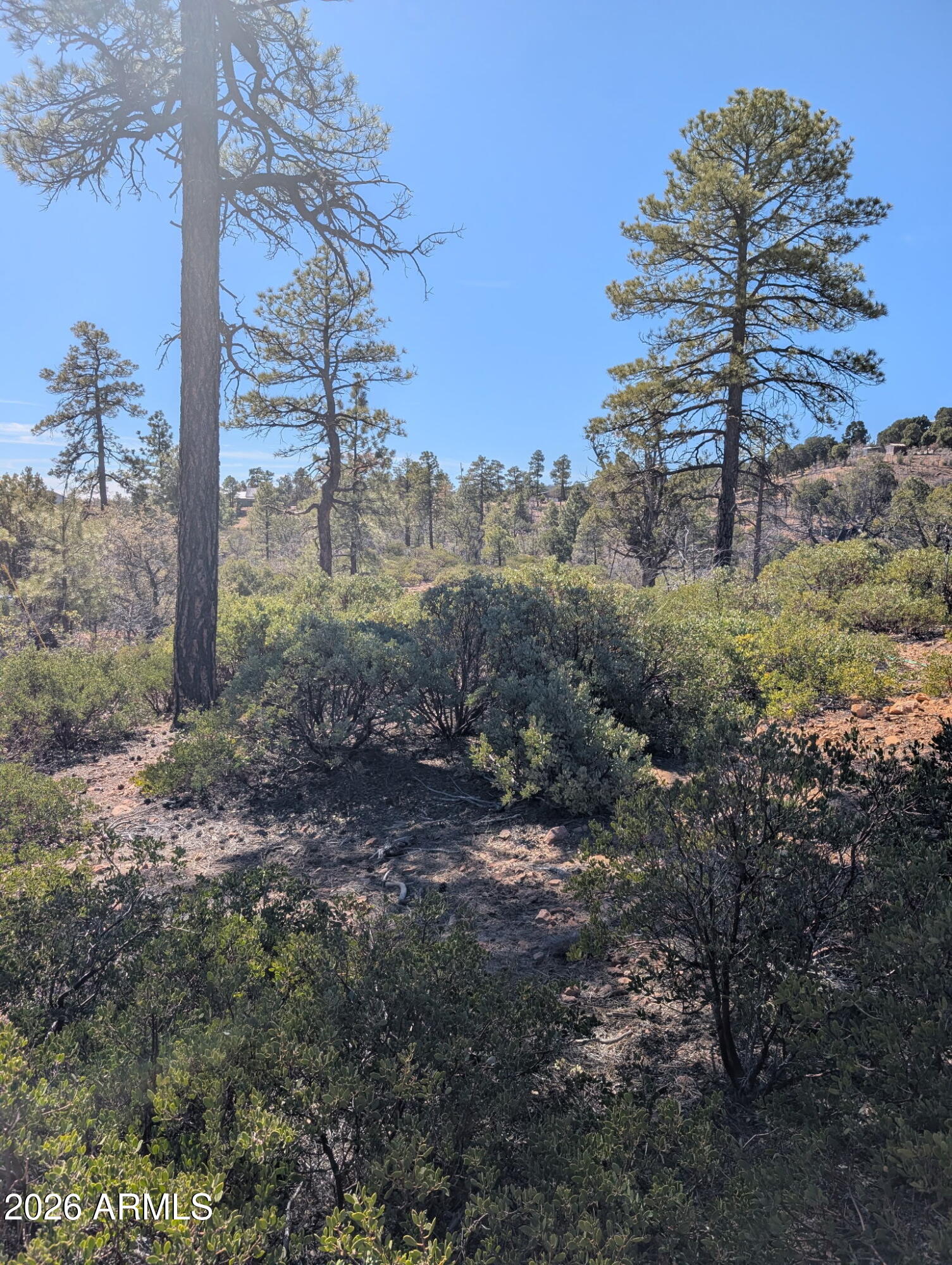 TIMBERLAND ACRES - Land