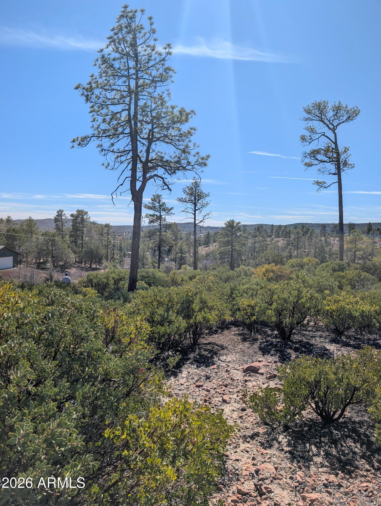 TIMBERLAND ACRES - Land