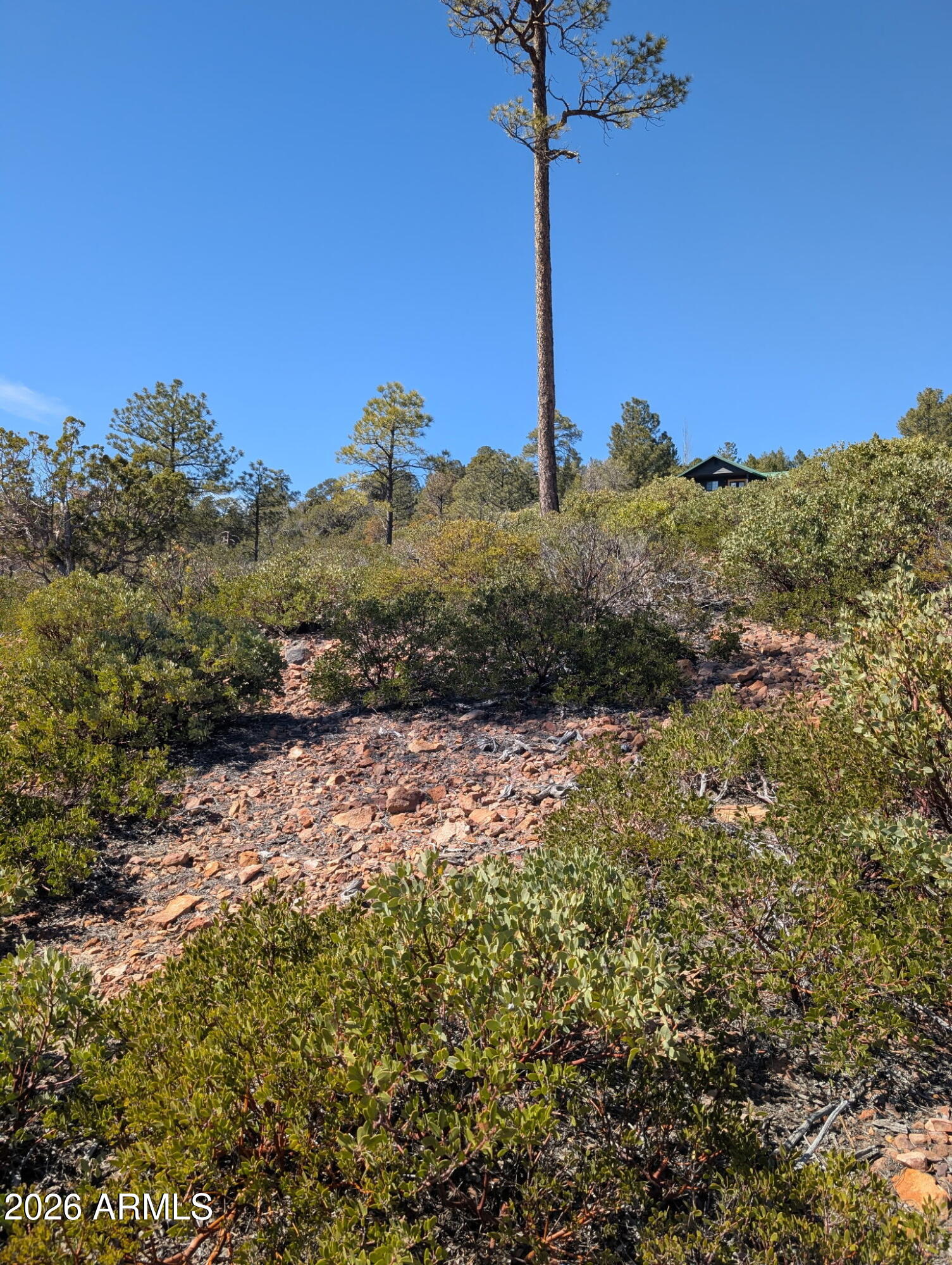 TIMBERLAND ACRES - Land