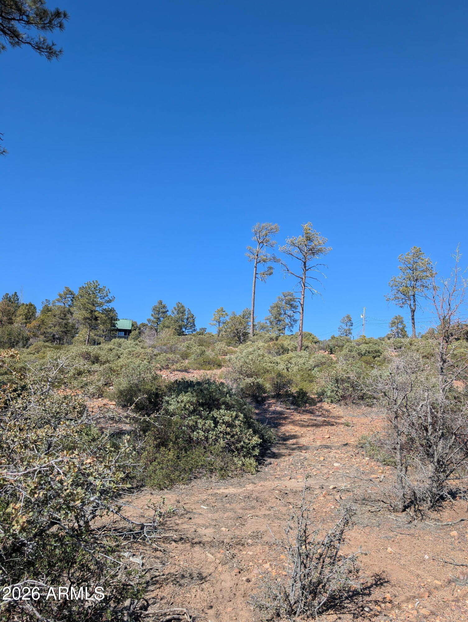 TIMBERLAND ACRES - Land