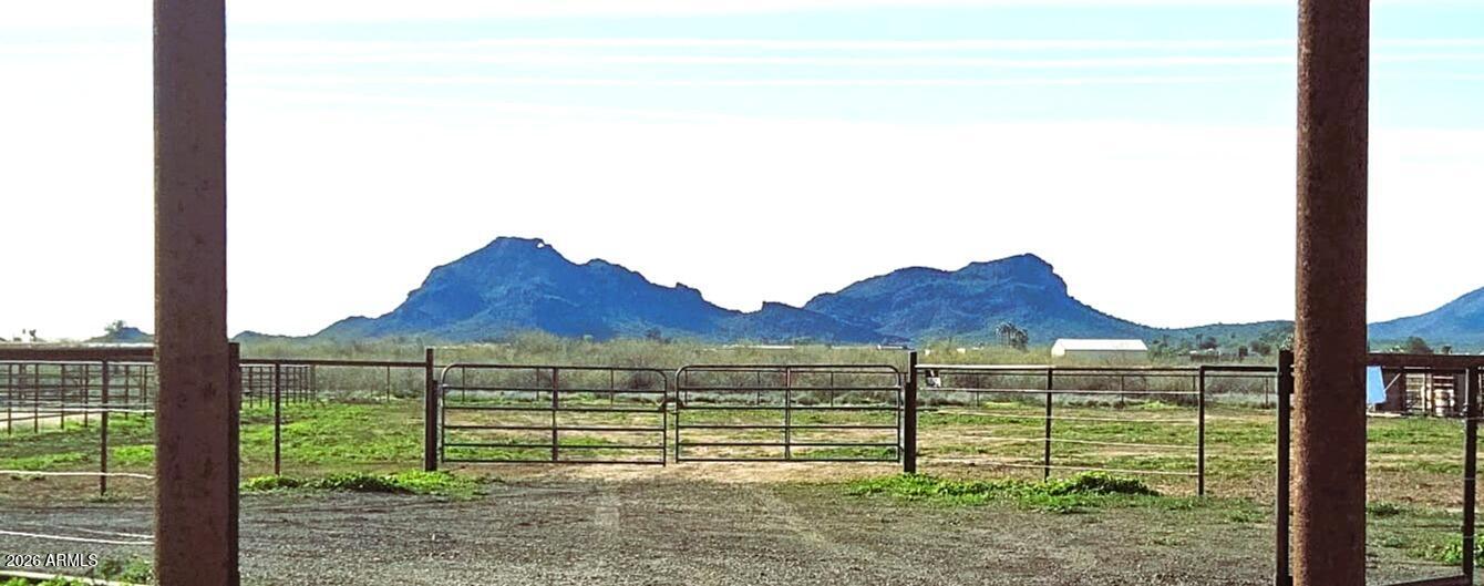 51252 W Buffalo Dog Road -