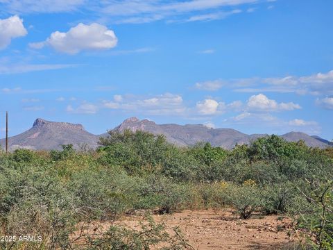 TBD N La Espada Circle 2742 Douglas AZ 85607