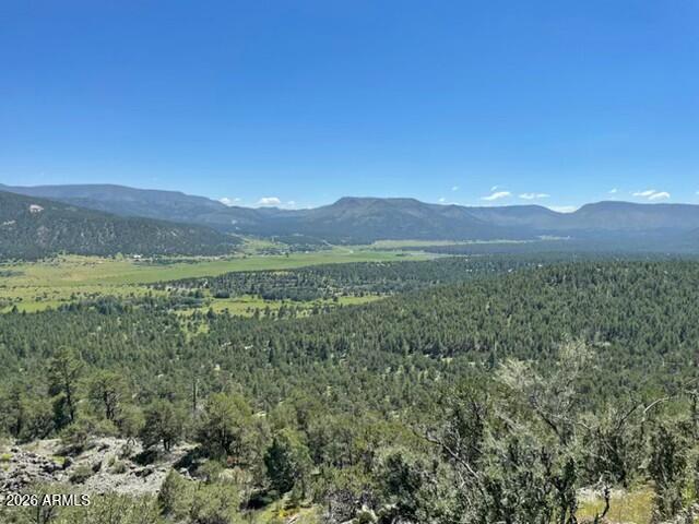 N2112 N 2112 Alley 10268003