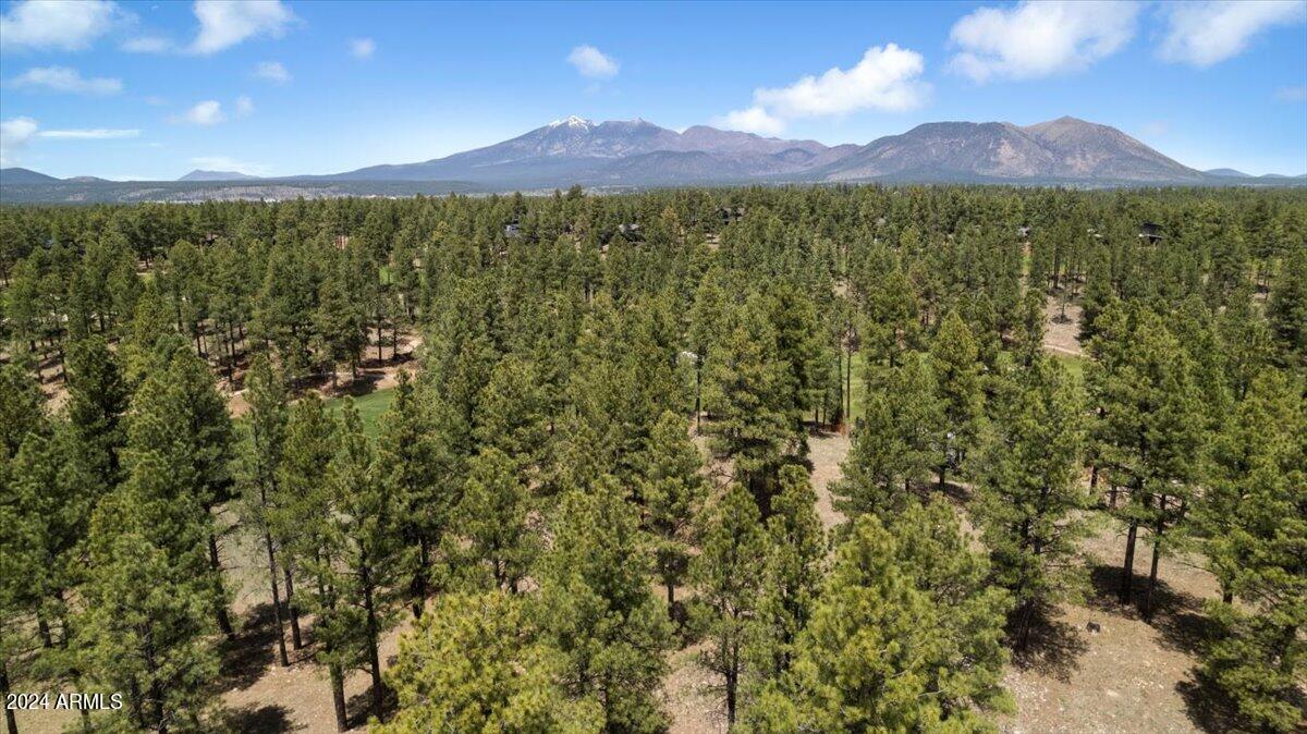 Pine Canyon - Residential