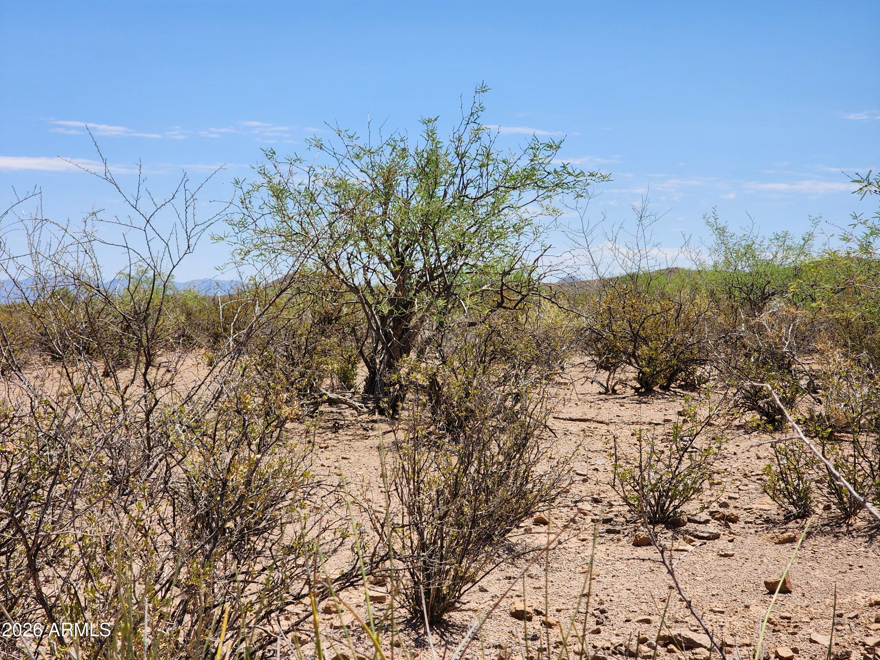 lot a Bowers Road 21
