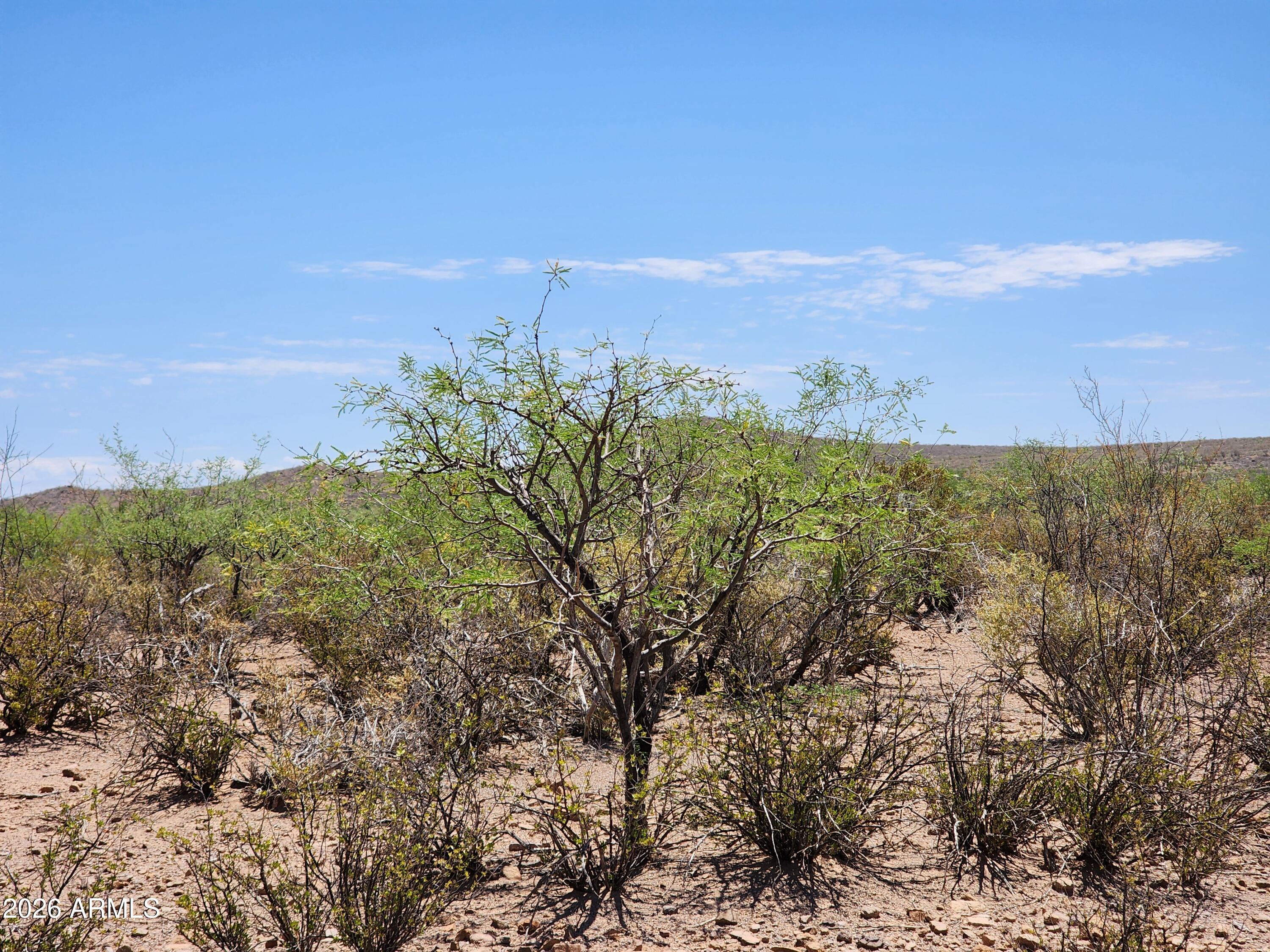 lot a Bowers Road 21