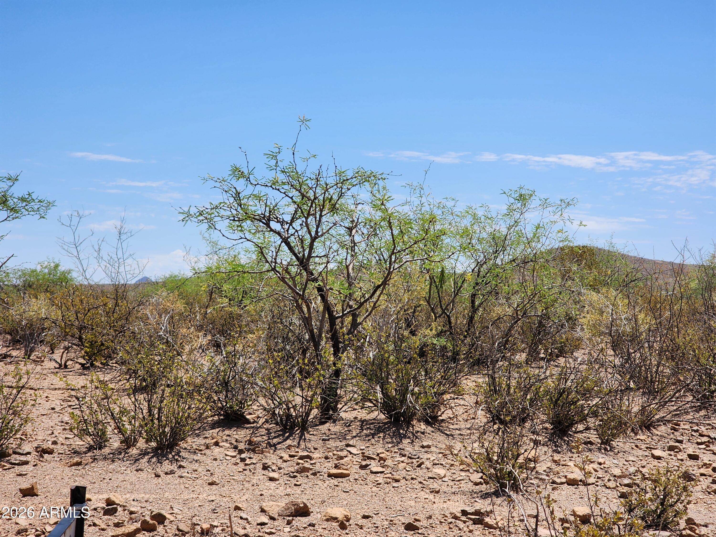 lot a Bowers Road 21
