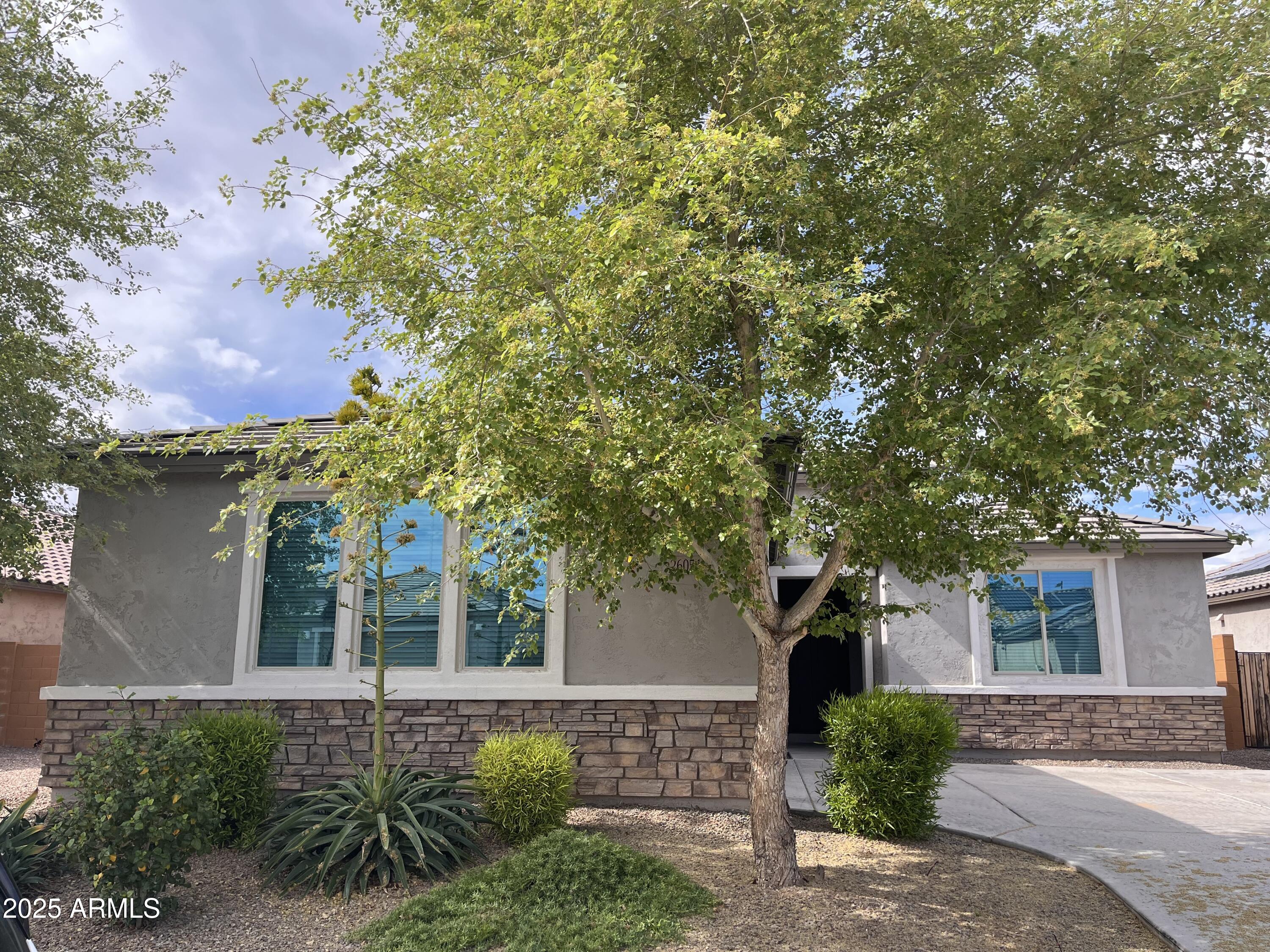 26051 W LONE CACTUS Drive