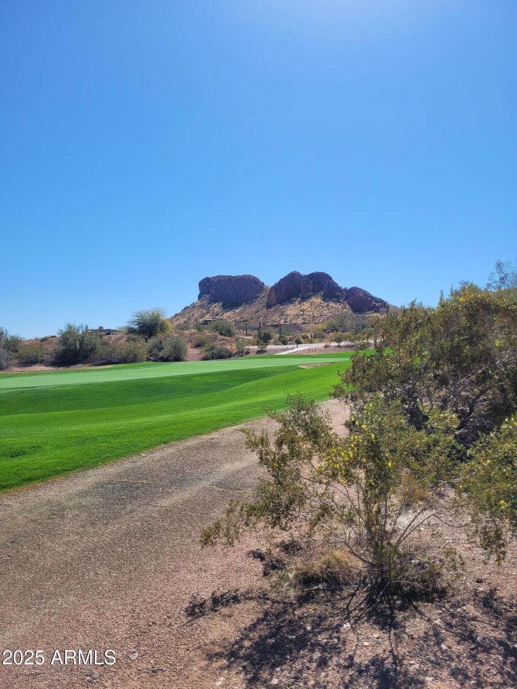 Photo of 9651 E Quarter Circle Loop #4, Gold Canyon, AZ 85118 (MLS # 6928930)