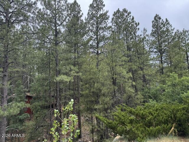 17270 GRIZZLY RIDGE Road