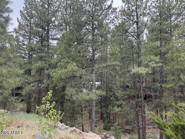 17270 GRIZZLY RIDGE Road