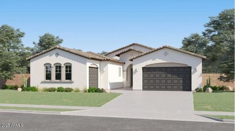 2877 E Lucky Horseshoe Lane San Tan Valley AZ 85140