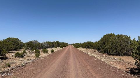 0 Colts Way Lot 5 -- 2005 Concho AZ 85924