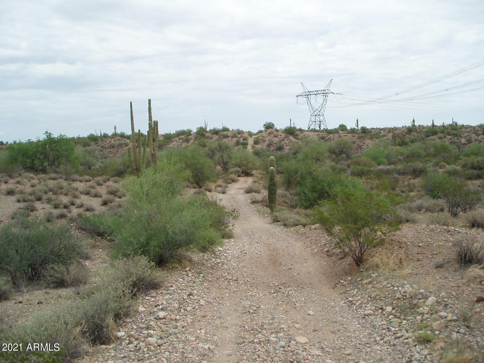 290XX W Dove Valley Road -