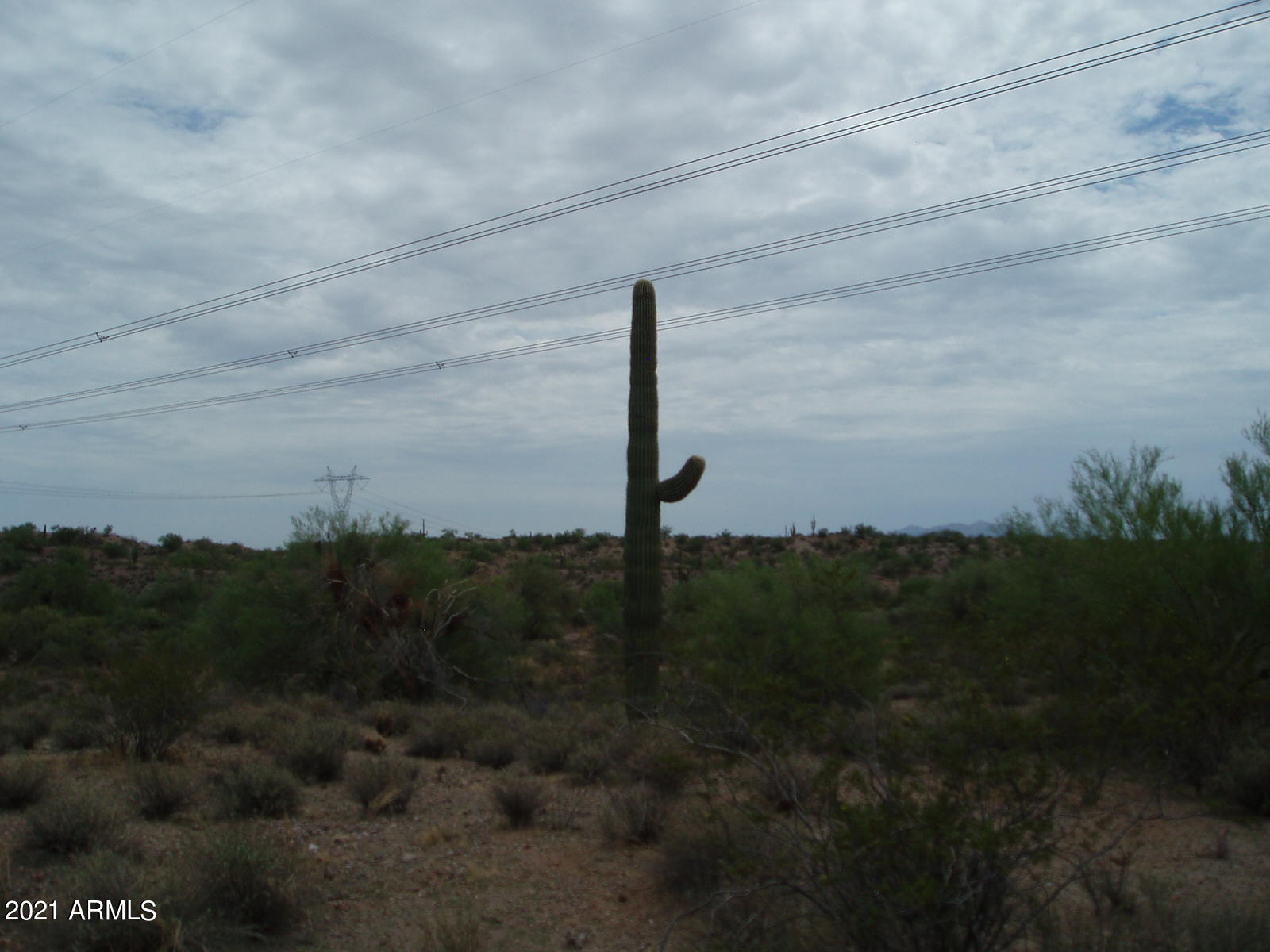 290XX W Dove Valley Road -