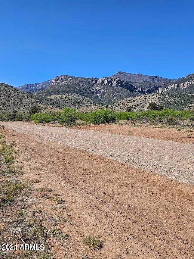 4 Acres S Stephanie Place -
