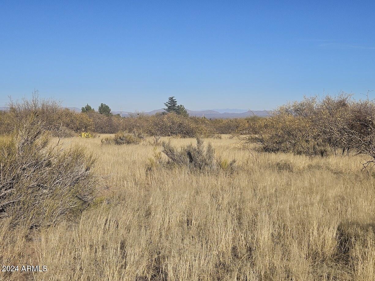 4 Acres S Stephanie Place -