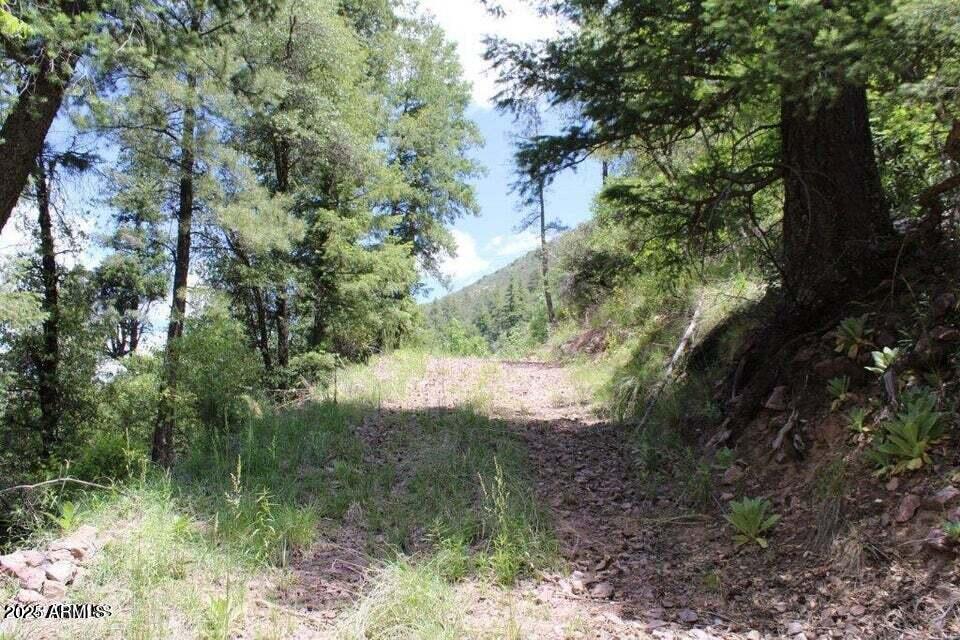 5175 N BEAR FLAT Road 141B
