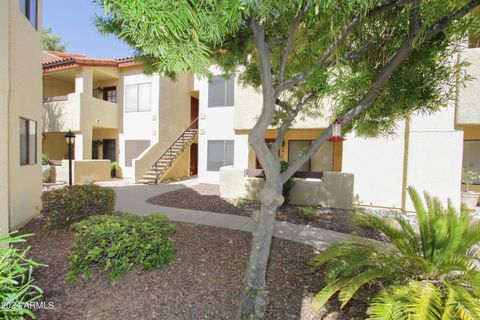 A home in Paradise Valley