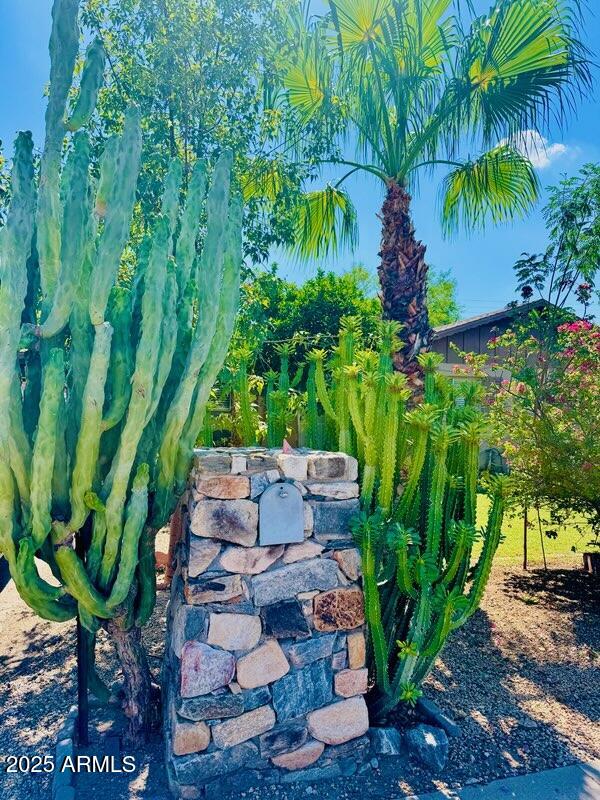 3631 W MYRTLE Avenue