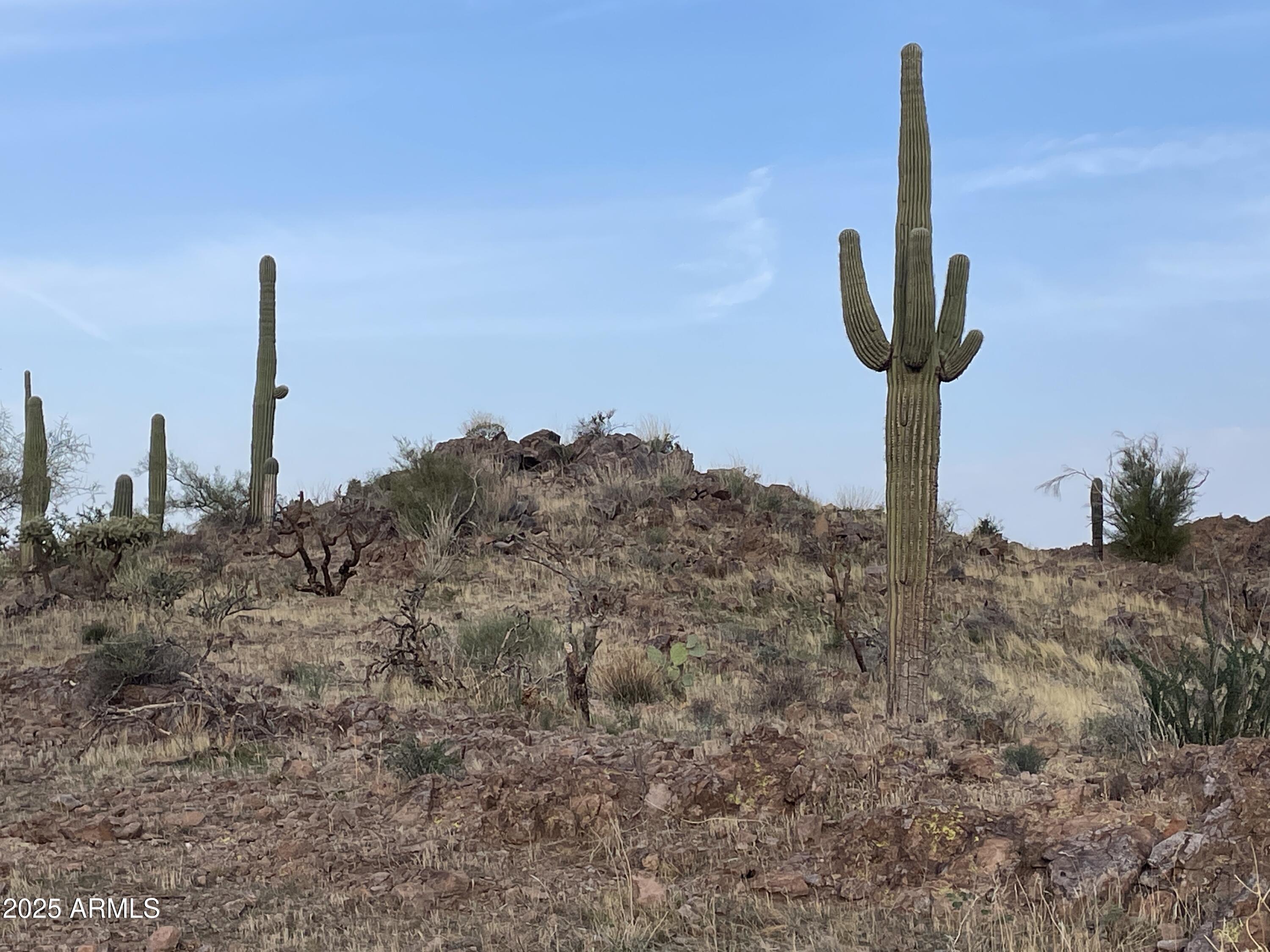 009 N Elephant Butte Road J