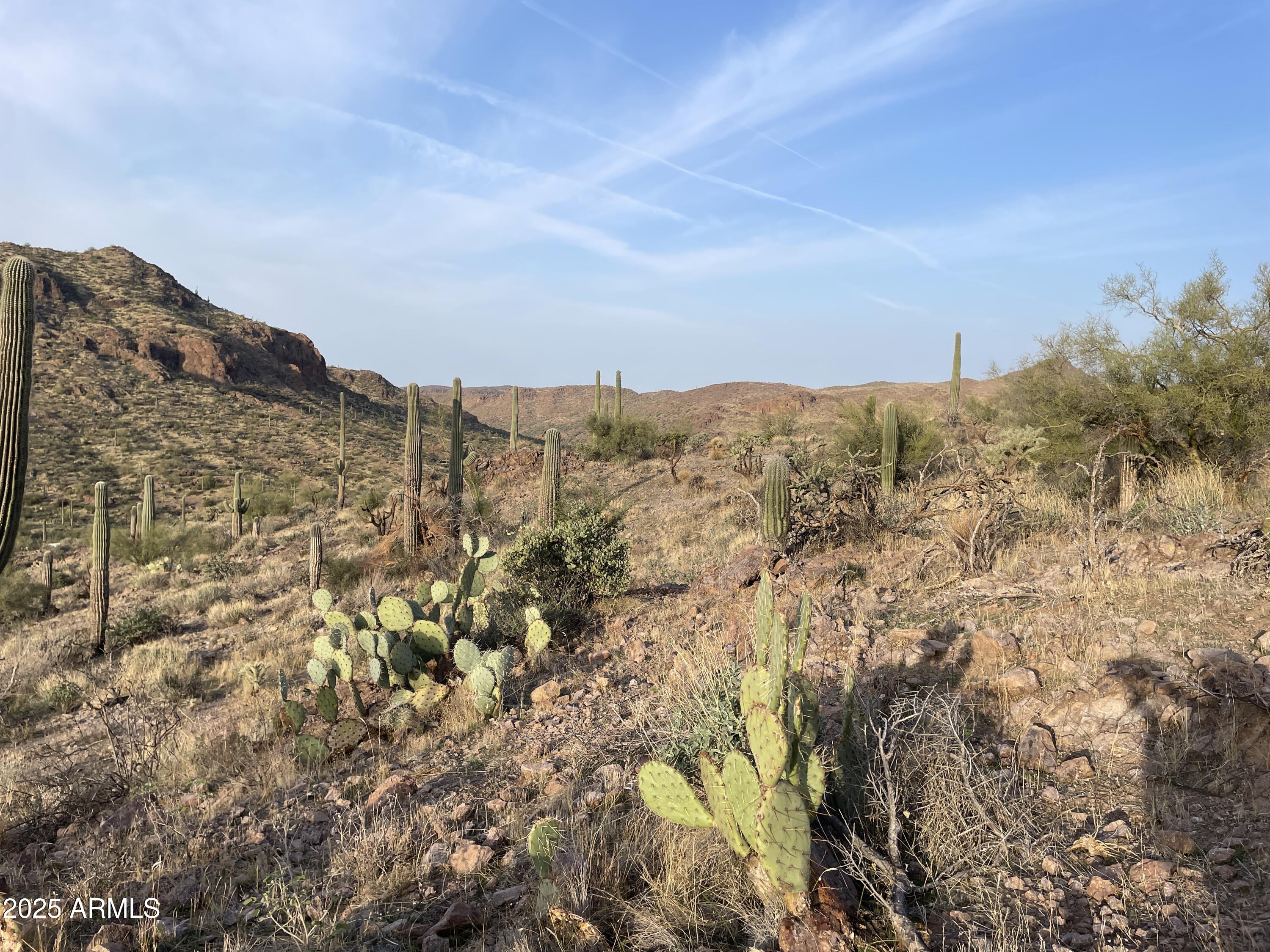 009 N Elephant Butte Road J