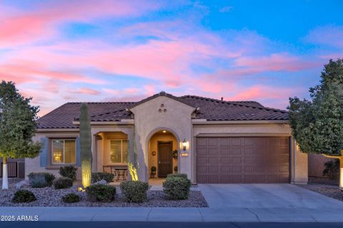 4425 N PETERSBURG Drive Florence AZ 85132