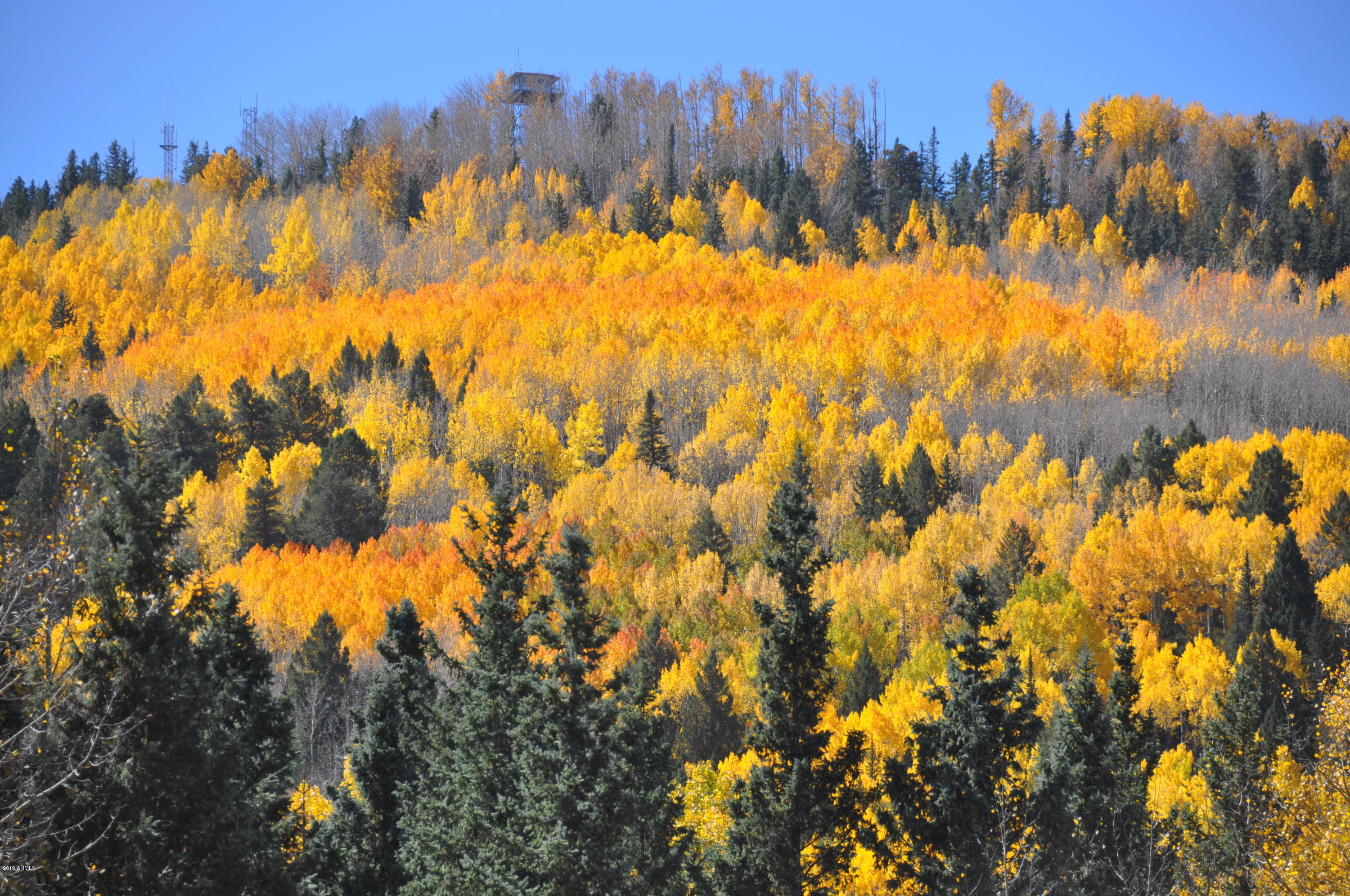 37 N CRN 1330 Road 19