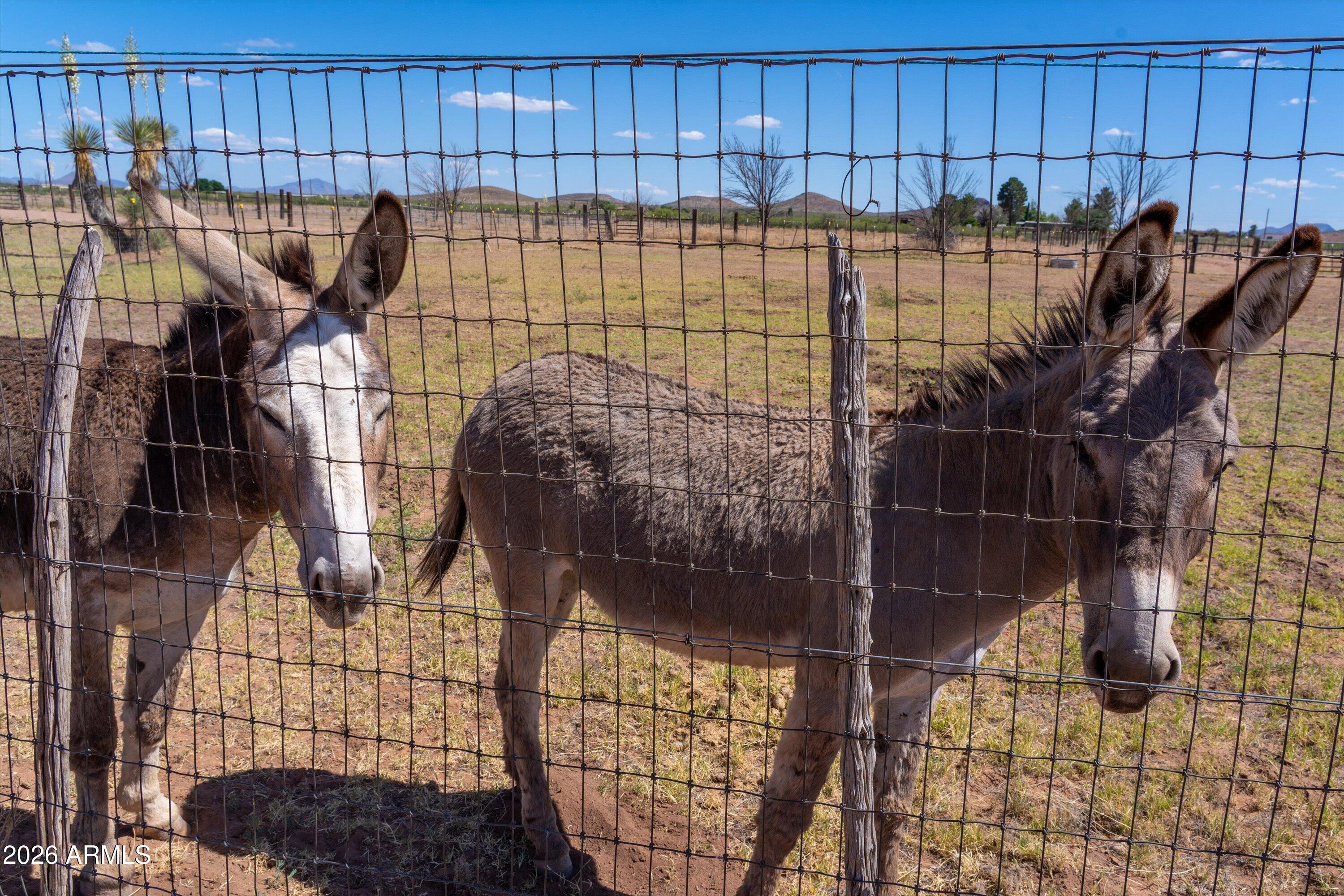 DEER HAVEN RANCHES - Residential