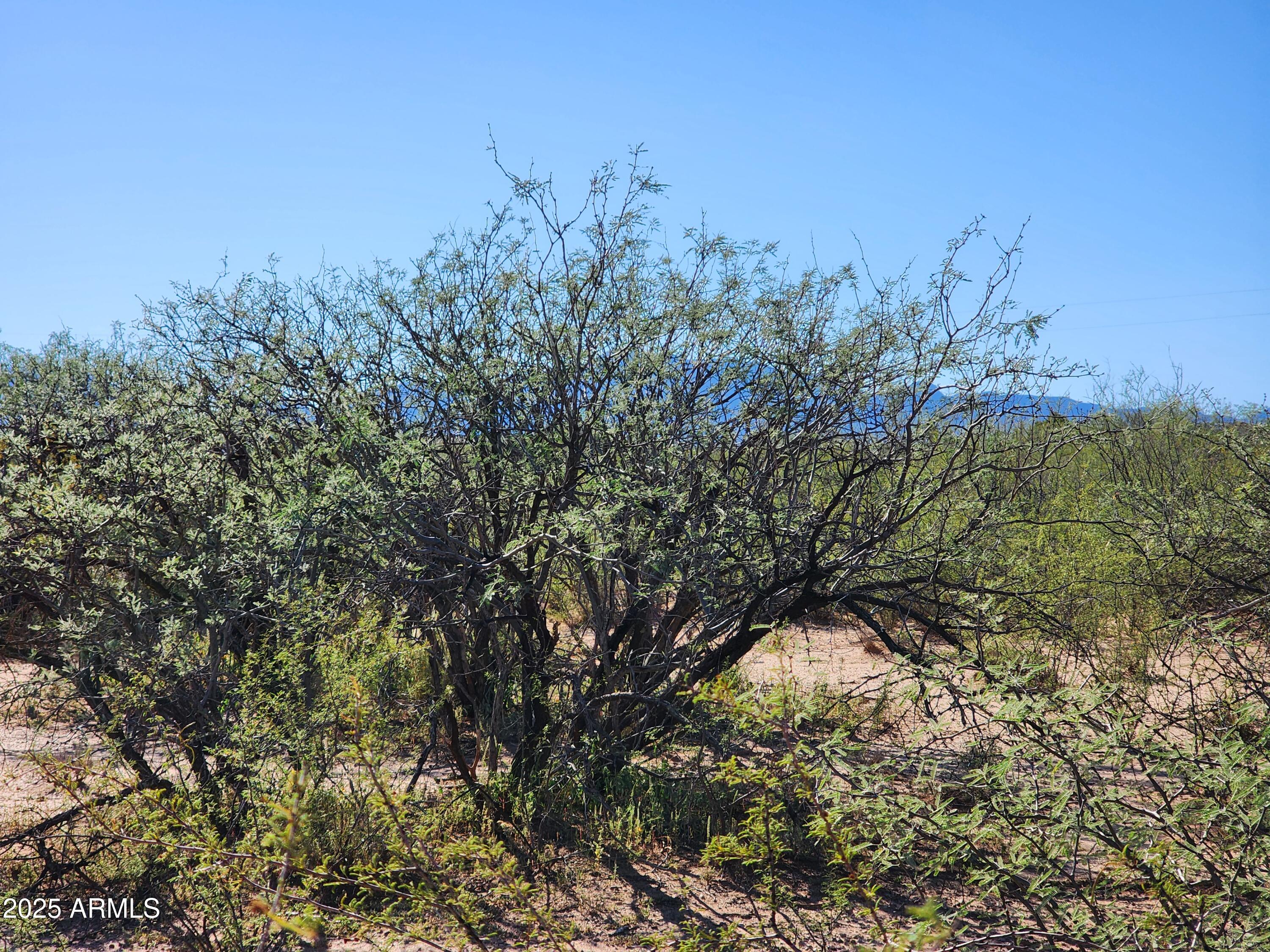 lot s Calle Molinar 350-350 -- -