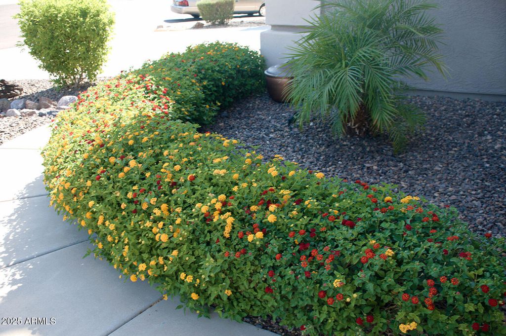 Photo of 2074 E 37th Avenue, Apache Junction, AZ 85119 (MLS # 6891569)