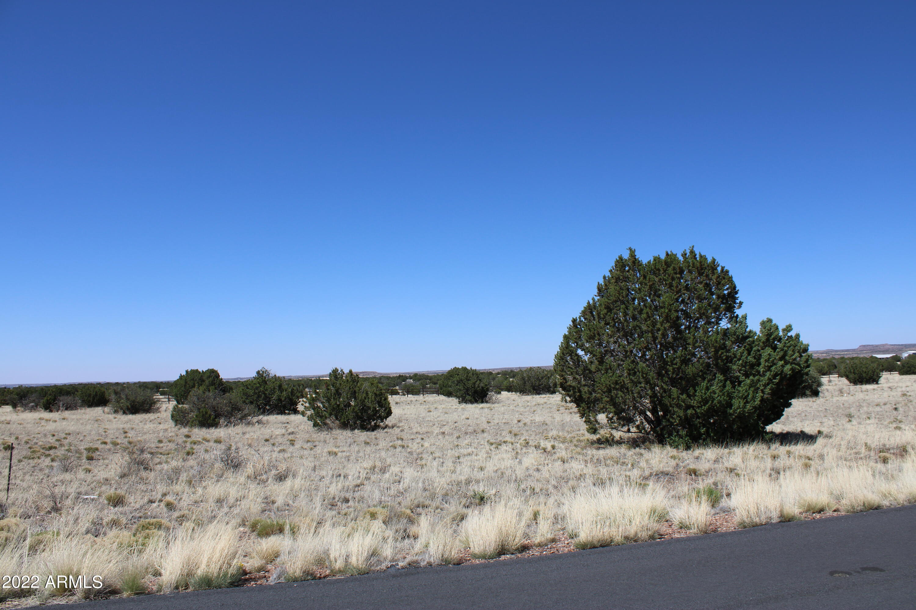 View Show Low, AZ 85901 property