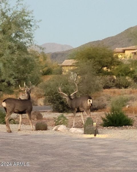 A home in Cave Creek