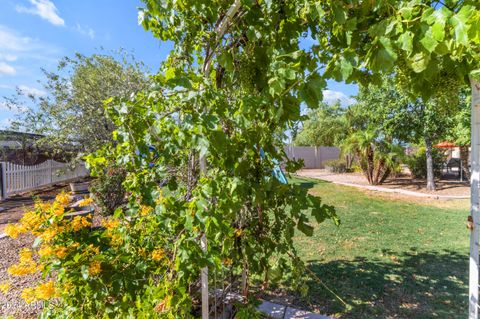 A home in Queen Creek