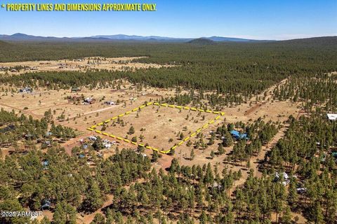 9321 MOUNTAIN MEADOW Lane - Lakeside AZ 85929