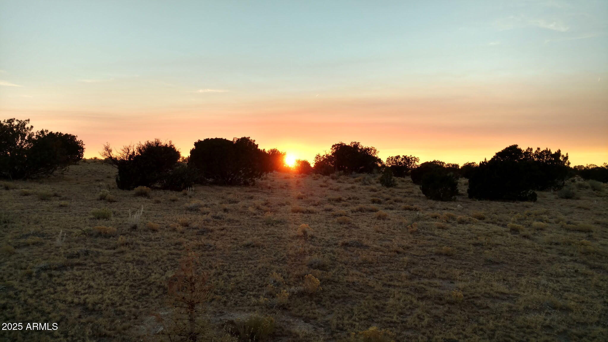 12393 MESA VIEW Road _