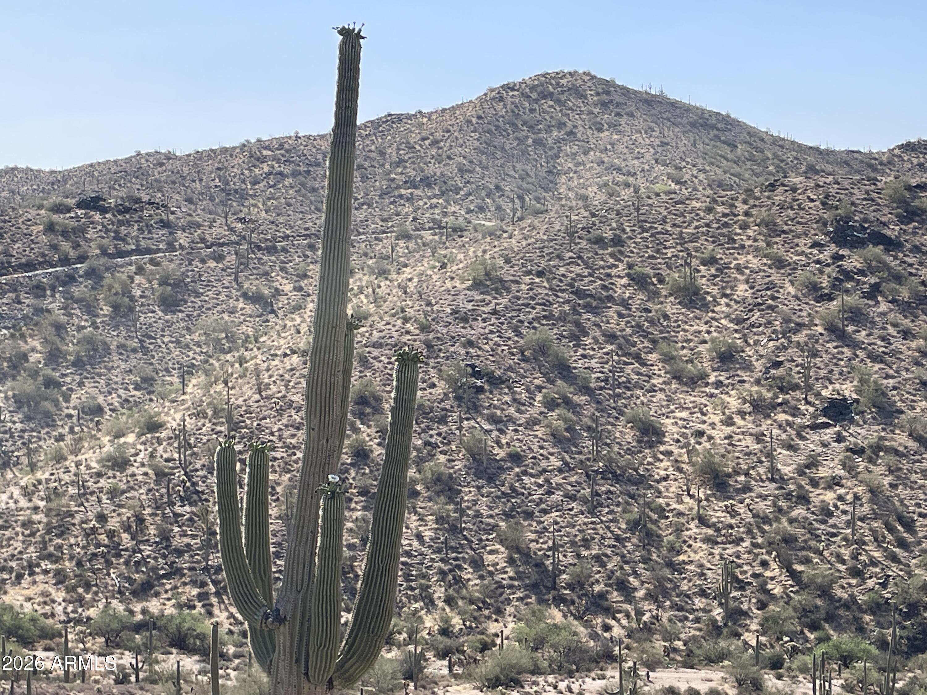 3246 N SILVER TIP Trail C