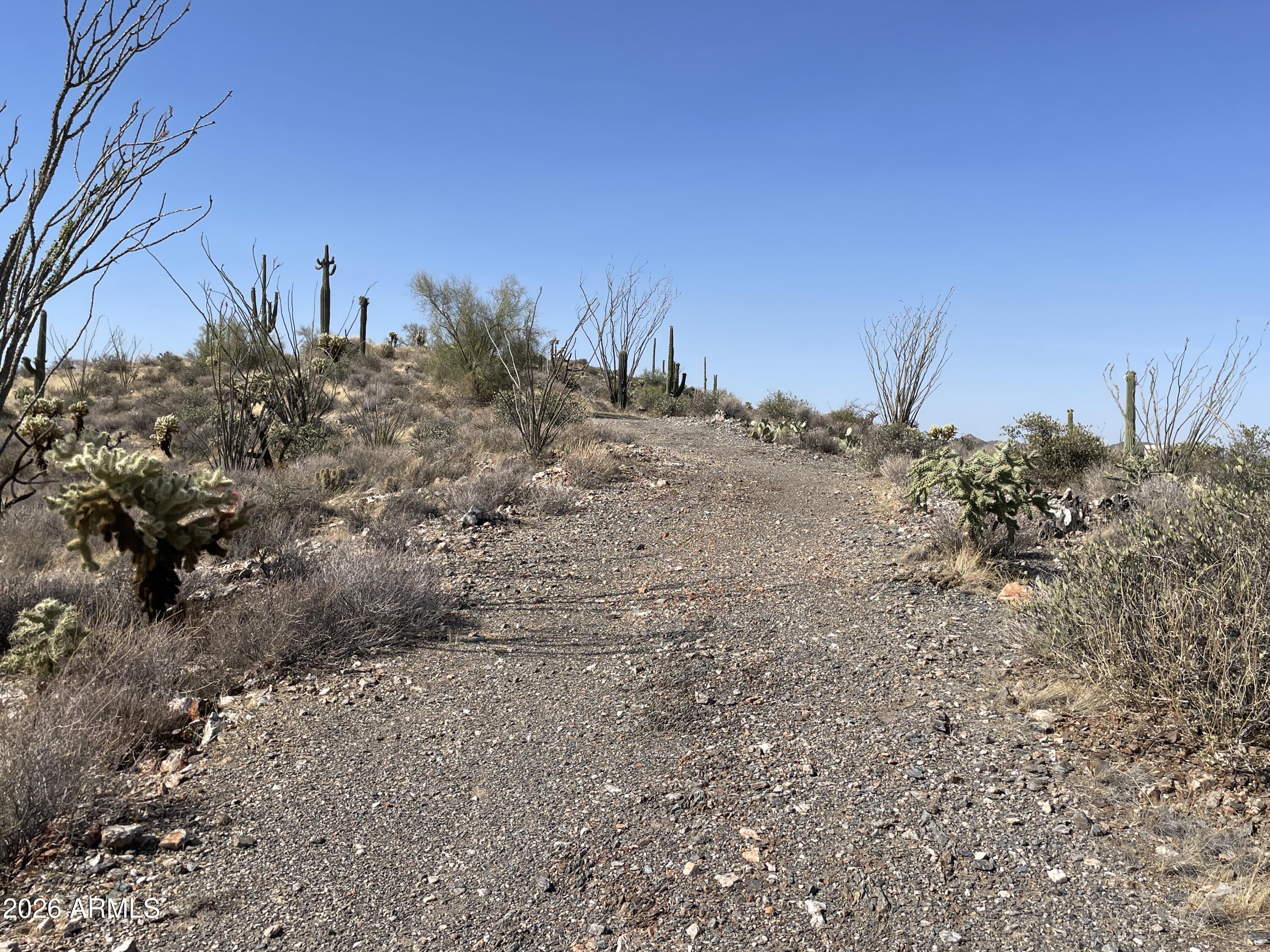 3246 N SILVER TIP Trail C